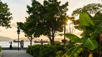 Visitors can enjoy a continuous and unimpeded waterfront walking experience along the tree promenade.